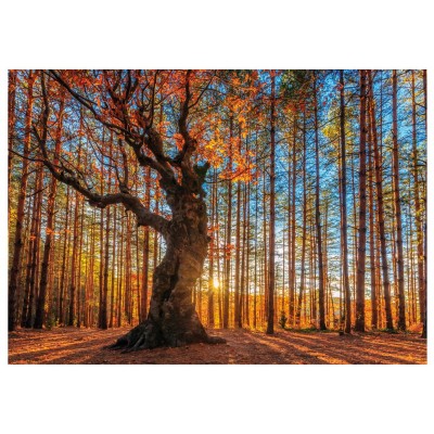 Wentworth-640101 Holzpuzzle - The King of the Forest