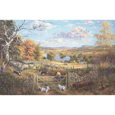 Puzzle The-House-of-Puzzles-2520 Counting Sheep