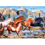 Puzzle  Alipson-Puzzle-F-50171 Wild and Free