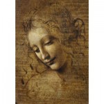 Puzzle  Art-by-Bluebird-60117 Leonardo da Vinci - La Scapigliata, 1506-1508