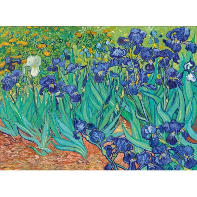 Puzzle Art-by-Bluebird-60165 Vincent Van Gogh - Schwertlilien, 1889