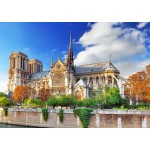 Puzzle  Bluebird-Puzzle-70224 Cathédrale Notre-Dame de Paris