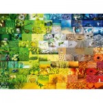 Puzzle  Bluebird-Puzzle-70578-P Wonderful Colours