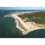 Puzzle  Bluebird-Puzzle-F-90449 Pointe du Cap Ferret, Bassin d'Arcachon