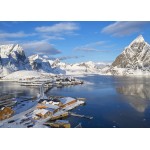 Puzzle  Bluebird-Puzzle-F-90993 Fjord - Archipel der Lofoten