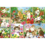 Puzzle  Bluebird-Puzzle-F-91014 Katzen und Kitten