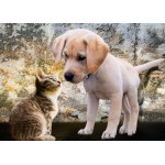Puzzle   Kitten and Puppy