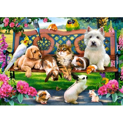Puzzle Castorland-018444 Pets in the Park