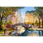 Puzzle  Castorland-104376 Abendspaziergang Durch den Central Park