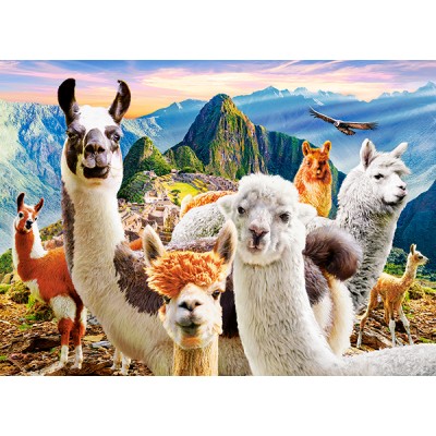 Puzzle Castorland-222193 Llamas Selfie