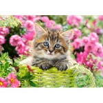 Puzzle  Castorland-52974 Kitten in Flower Garden