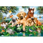 Puzzle  Castorland-53230 Sommer-Freunde