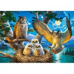 Puzzle  Castorland-53322 Familie Eule