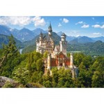 Puzzle  Castorland-53544 Blick auf das Schloss Neuschwanstein