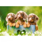 Puzzle  Castorland-53605 Cute Puppies