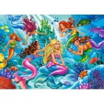 Puzzle   Mermaid Meeting