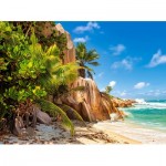 Puzzle   Paradise Beach of Seychelles