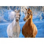 Puzzle   The Winter Horses