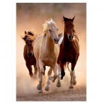 Puzzle  Clementoni-39168 Wildpferde im Galopp