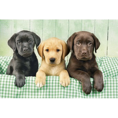 Puzzle Clementoni-39279 Drei Labore