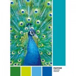 Puzzle   Pantone - Peacock Blue