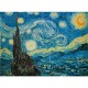Van Gogh: Sternennacht
