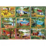 Puzzle  Cobble-Hill-40231 Postcards from Lake Country