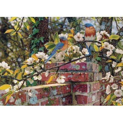 Puzzle Cobble-Hill-51845 Jay Kemp: Backyard Blues