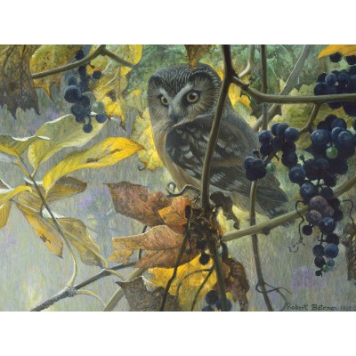 Puzzle Cobble-Hill-52086 XXL Teile - Robert Bateman - Saw-whet Owl and Wild Grapes