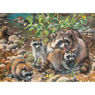 Puzzle Cobble-Hill-54607 XXL Teile - Raccoon Family
