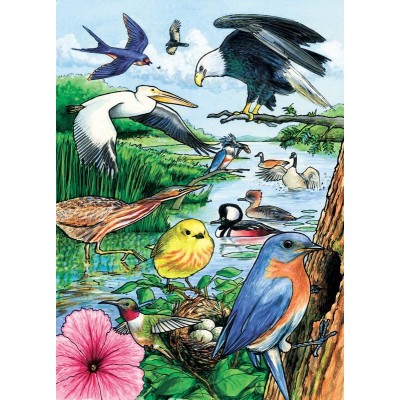 Cobble-Hill-58809 Rahmenpuzzle - North American Birds