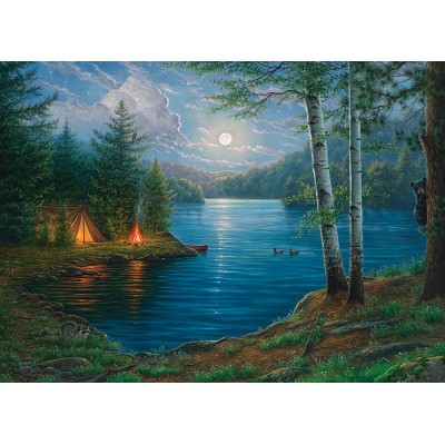 Puzzle Cobble-Hill-80044 Summer Night