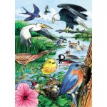   Rahmenpuzzle - North American Birds