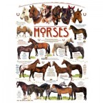 Puzzle   Robert May - Horse Quotes