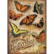 XXL Teile - Backyard Butterflies