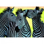 Puzzle   3 Zebras