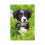  Dino-33122-Chien Mini-puzzle Hund