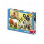  Dino-33544 3 Puzzles - Familie