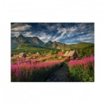 Puzzle  Dino-53300 Gasenic Tal