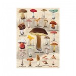 Puzzle  Dino-53309 Pilze Collage
