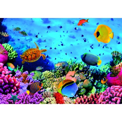 Puzzle Dino-55157 Korallen