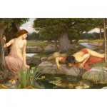 Puzzle   Waterhouse John William: Echo und Narcissus