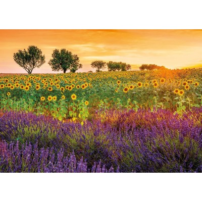 Puzzle Educa-17669 Feld Mit Sonnenblumen und Lavendel