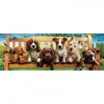 Puzzle  Educa-19038 Welpen auf Bank