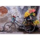 Fahrrad Mit Blumen