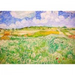 Puzzle  Enjoy-Puzzle-1176 Vincent van Gogh: Ebene bei Auvers