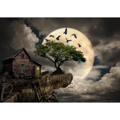Puzzle Enjoy-Puzzle-1614 Ein Blockhaus auf einer Klippe