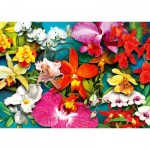 Puzzle  Enjoy-Puzzle-2033 Orchideendschungel