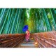 Asian Woman in Bamboo Forest