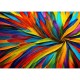 Colorful Feathers